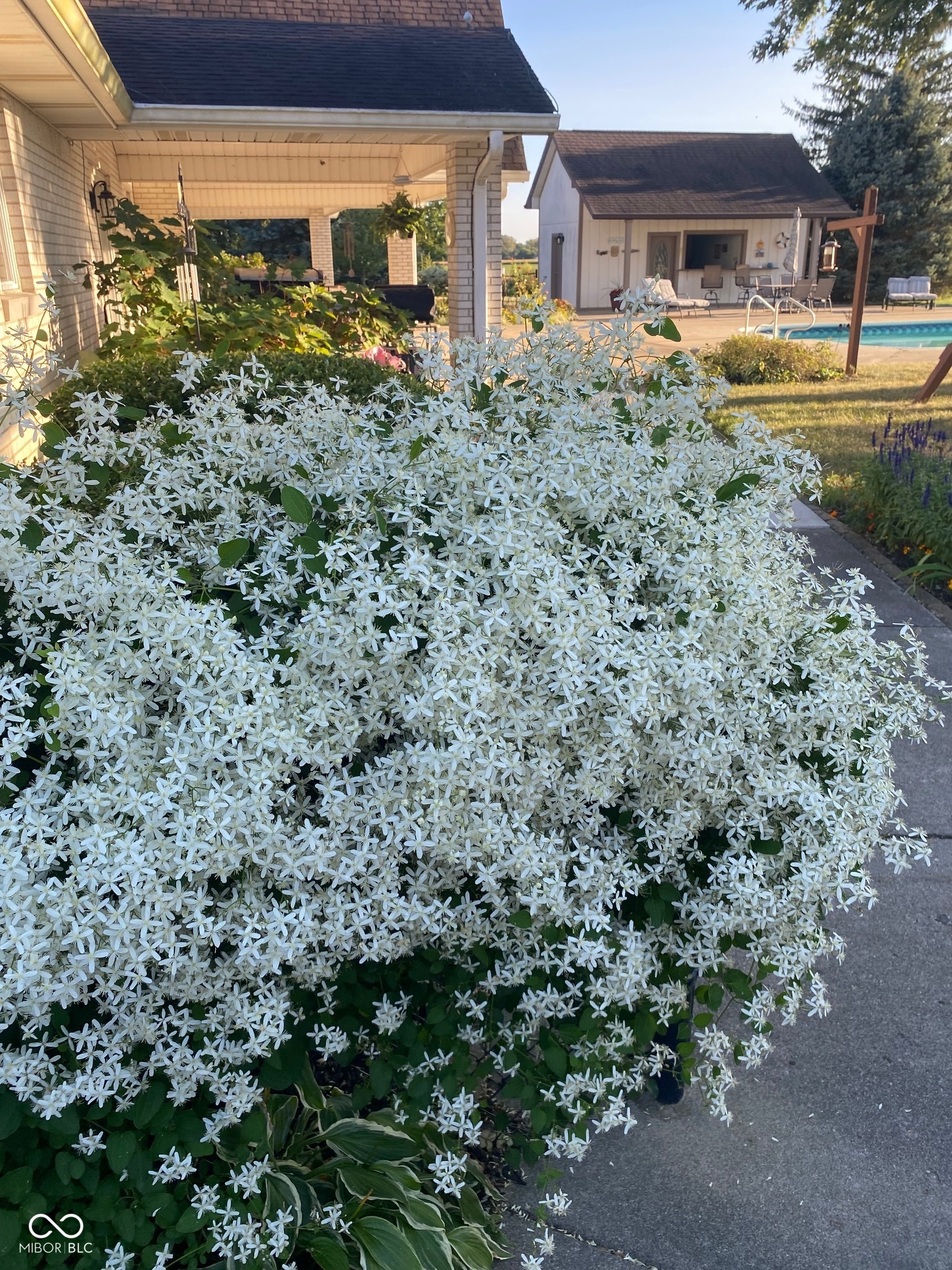 8329 South 300 West Pendleton, IN 46064 - Photo 10 of 44