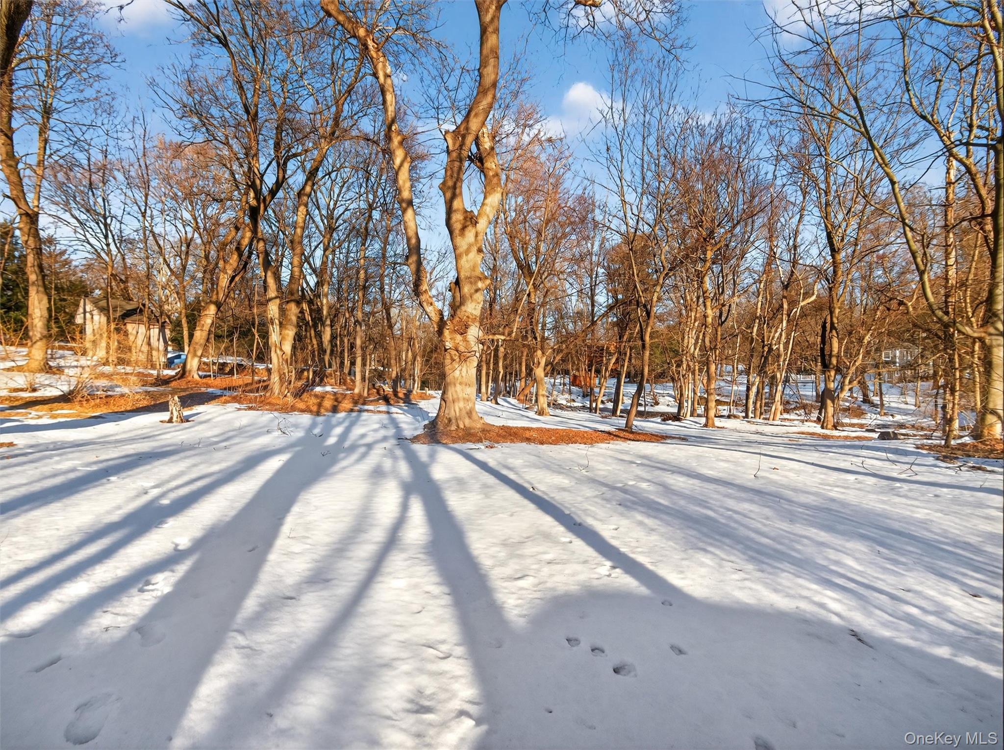 325 Haverstraw Road Montebello, NY 10901 - Photo 28 of 33