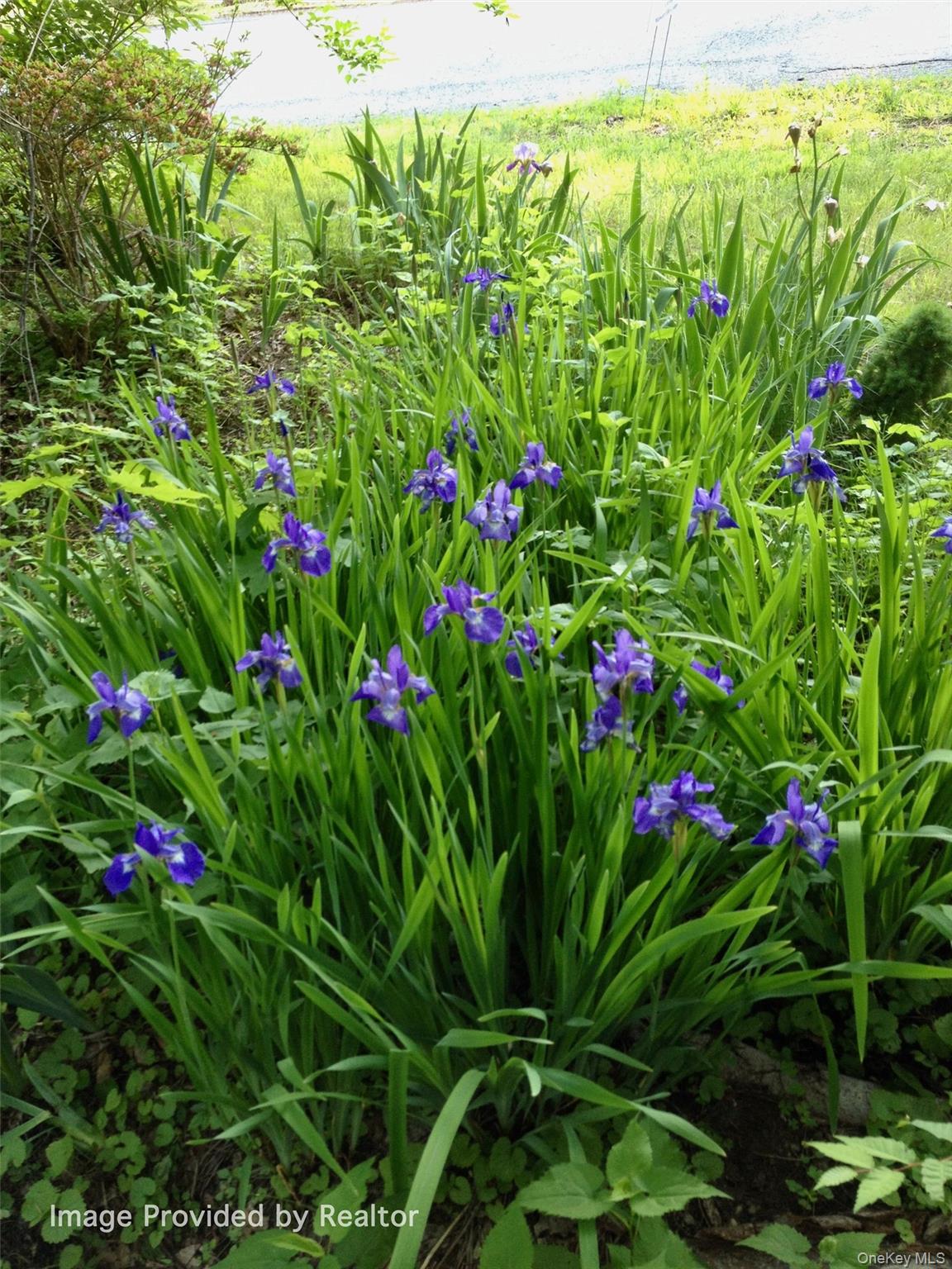 325 Haverstraw Road Montebello, NY 10901 - Photo 32 of 33