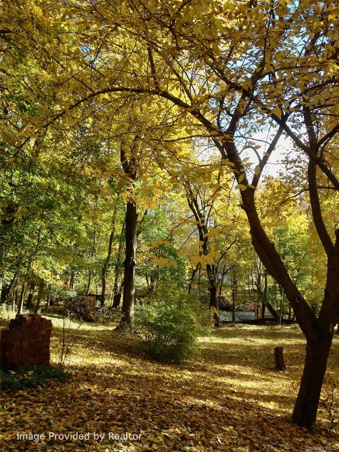 325 Haverstraw Road Montebello, NY 10901 - Photo 33 of 33