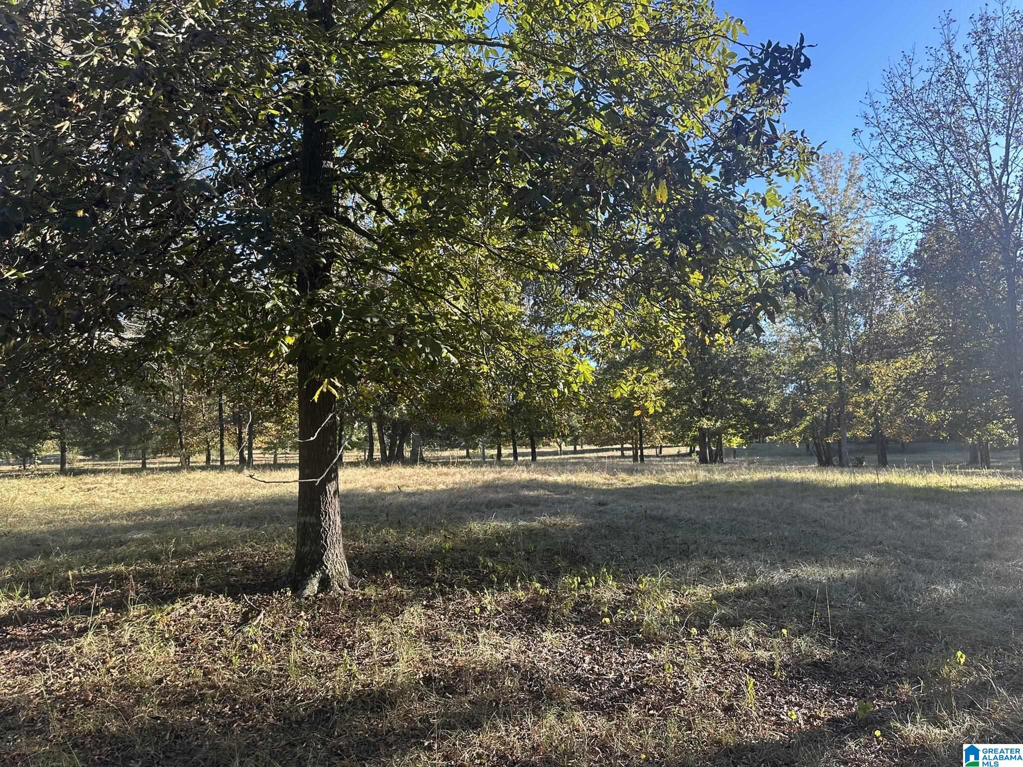 390 Limbaugh Road Sylacauga, AL 35150 - Photo 36 of 39
