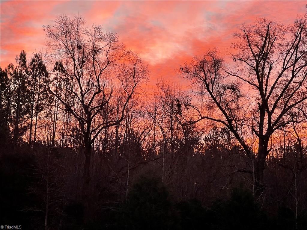 7752 Sutter Road Greensboro, NC 27455 - Photo 23 of 50