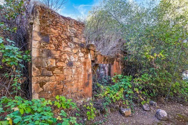 a view of a house with a yard and potted plants