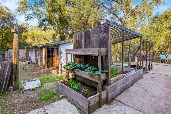 a view of house with a yard and potted plants