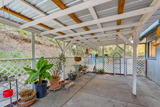 a view of a garden with large trees