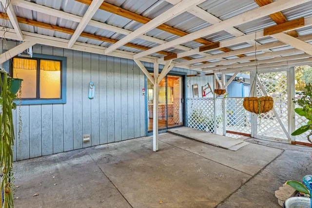 a view of a yard with plants and a trees