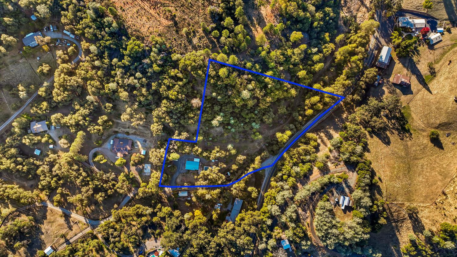 9174 State Rte 26 Mokelumne Hill, CA 95245 - Photo 32 of 52 a picture of a tree