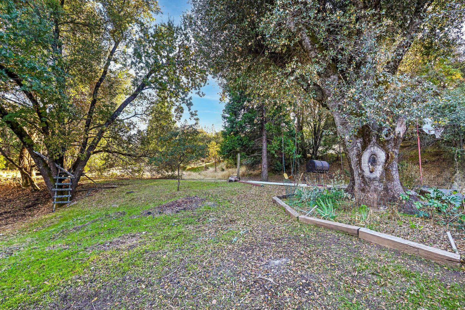 9174 State Rte 26 Mokelumne Hill, CA 95245 - Photo 43 of 52 a view of a backyard with large trees