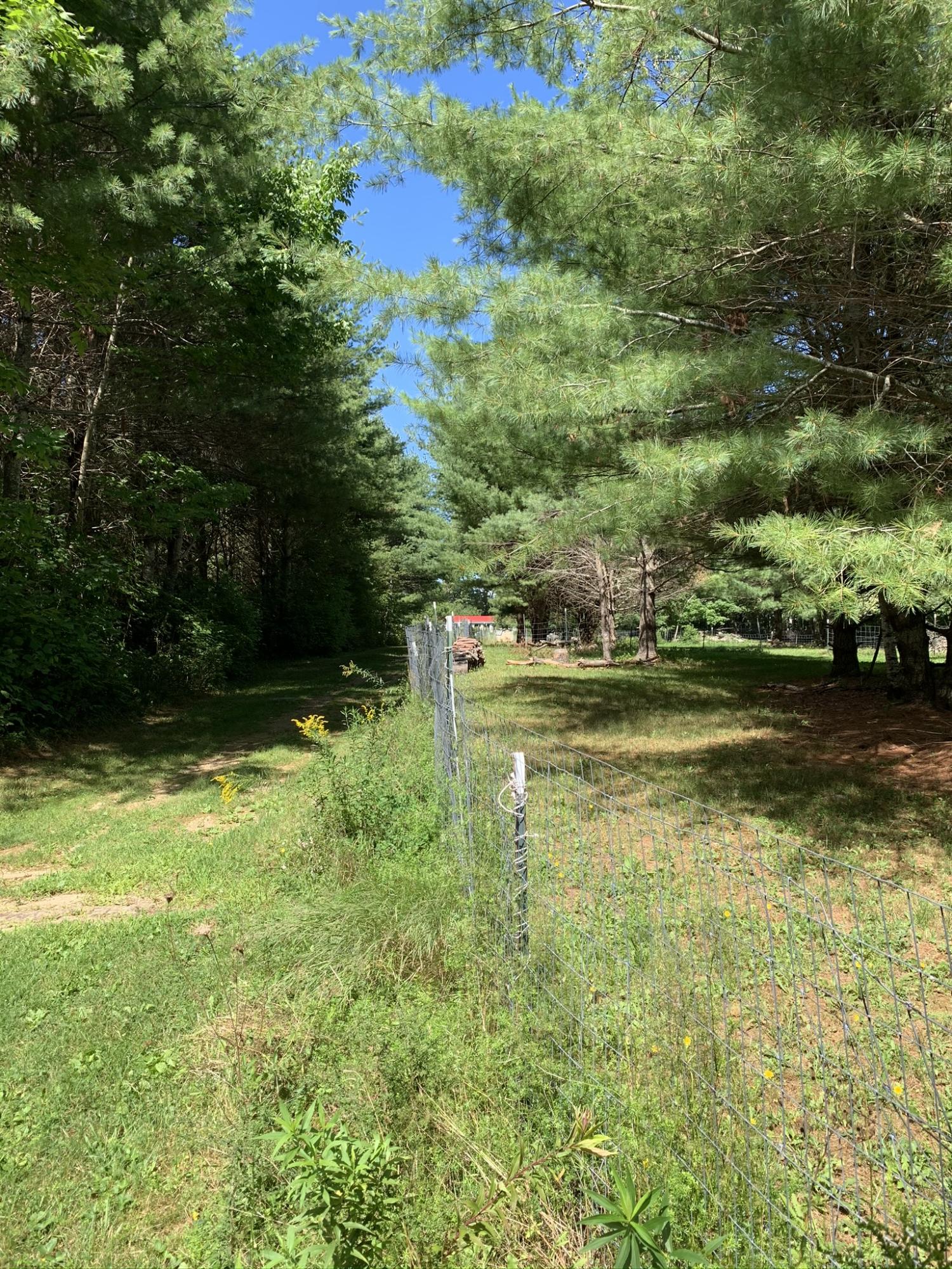 875 Mullen Road Stetson, ME 04488 - Photo 42 of 83 IMG_0140