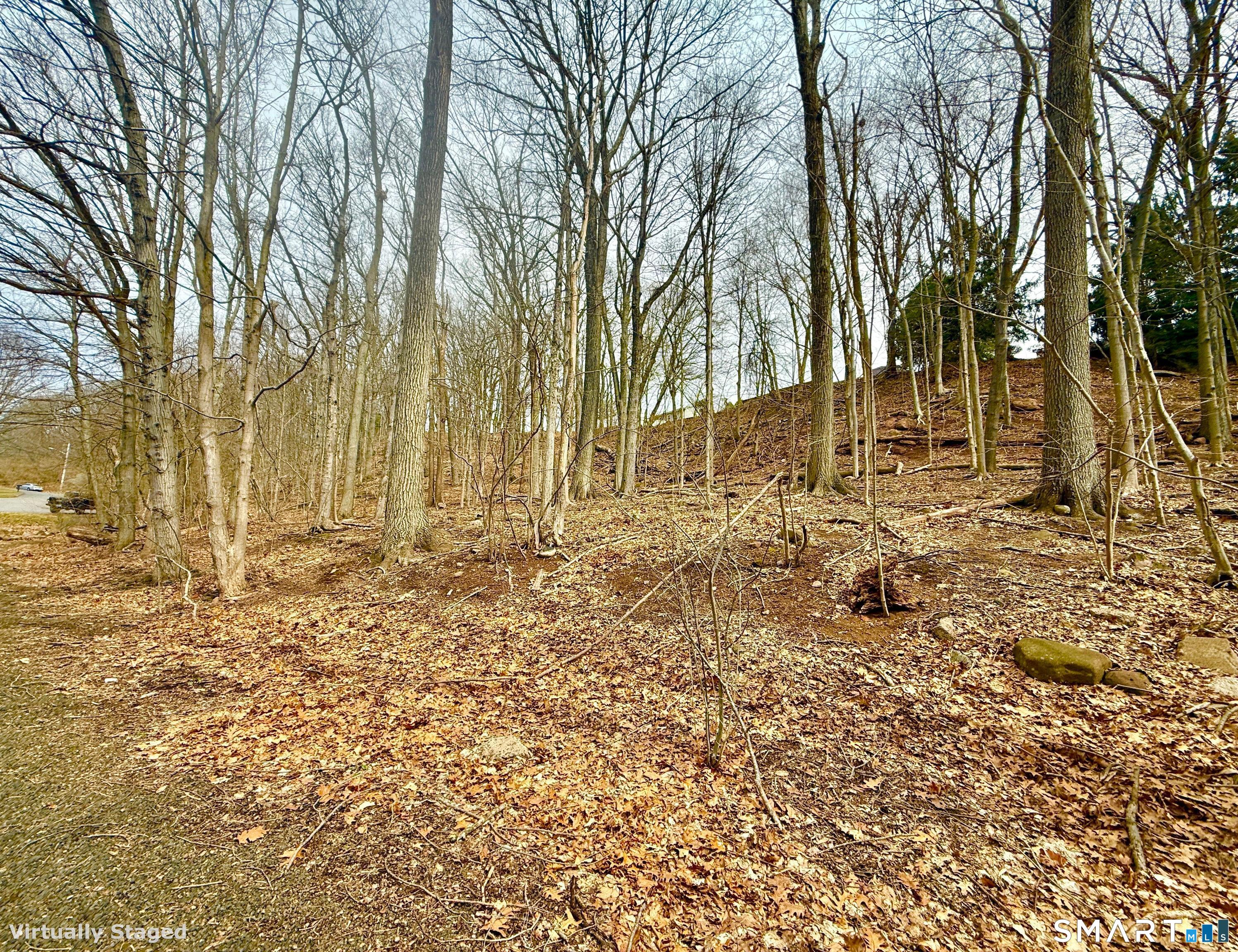71 Dunbar Hill Road Hamden, CT 06514 - Photo 14 of 15 Gallery Image 14