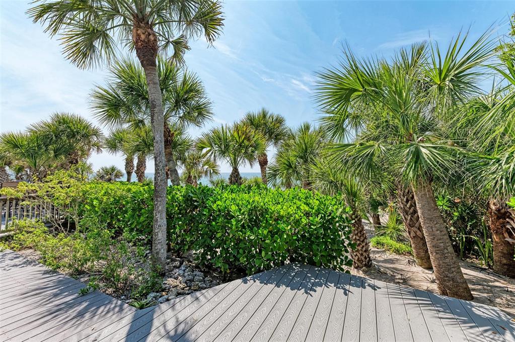 8320 Manasota Key Road Englewood, FL 34223 - Photo 43 of 58 a view of a backyard with plants and palm trees