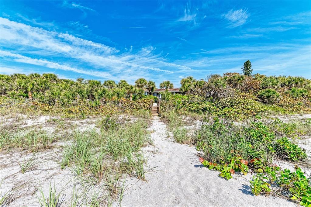 8320 Manasota Key Road Englewood, FL 34223 - Photo 55 of 58 a view of a large yard with lots of green space