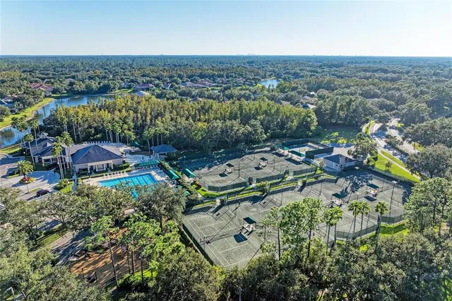 $625,000 | 17823 Arbor Creek Drive, Tampa, FL 33647