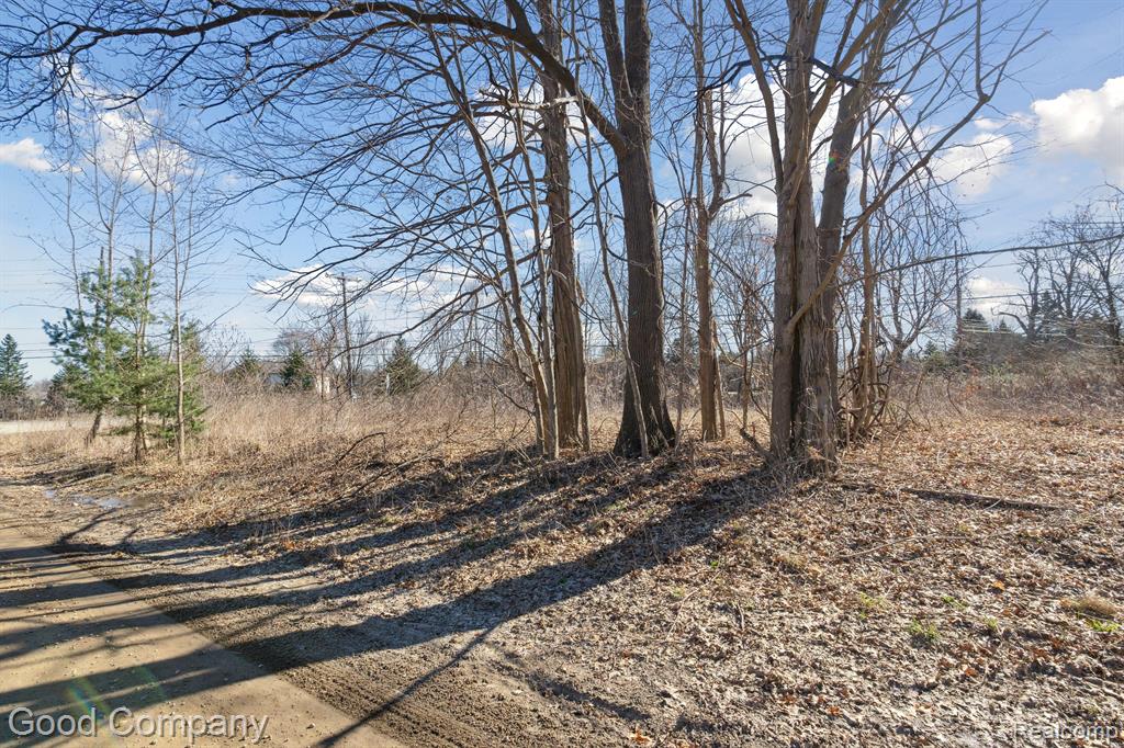 0 Orion Road Lake Orion, MI 48362 - Photo 9 of 13