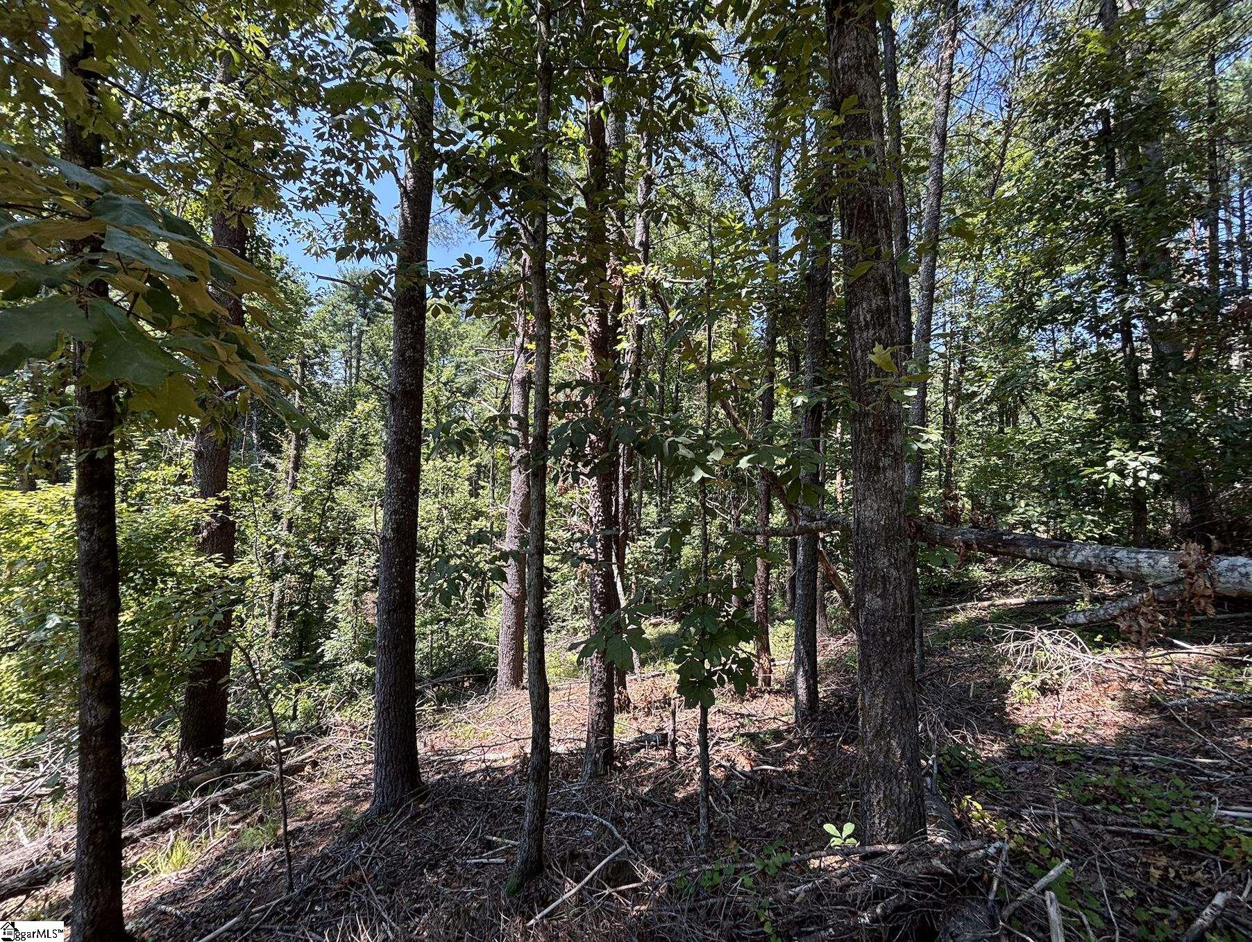 111 Sweetshrub Way Sunset, SC 29685 - Photo 11 of 14 Gallery Image 11