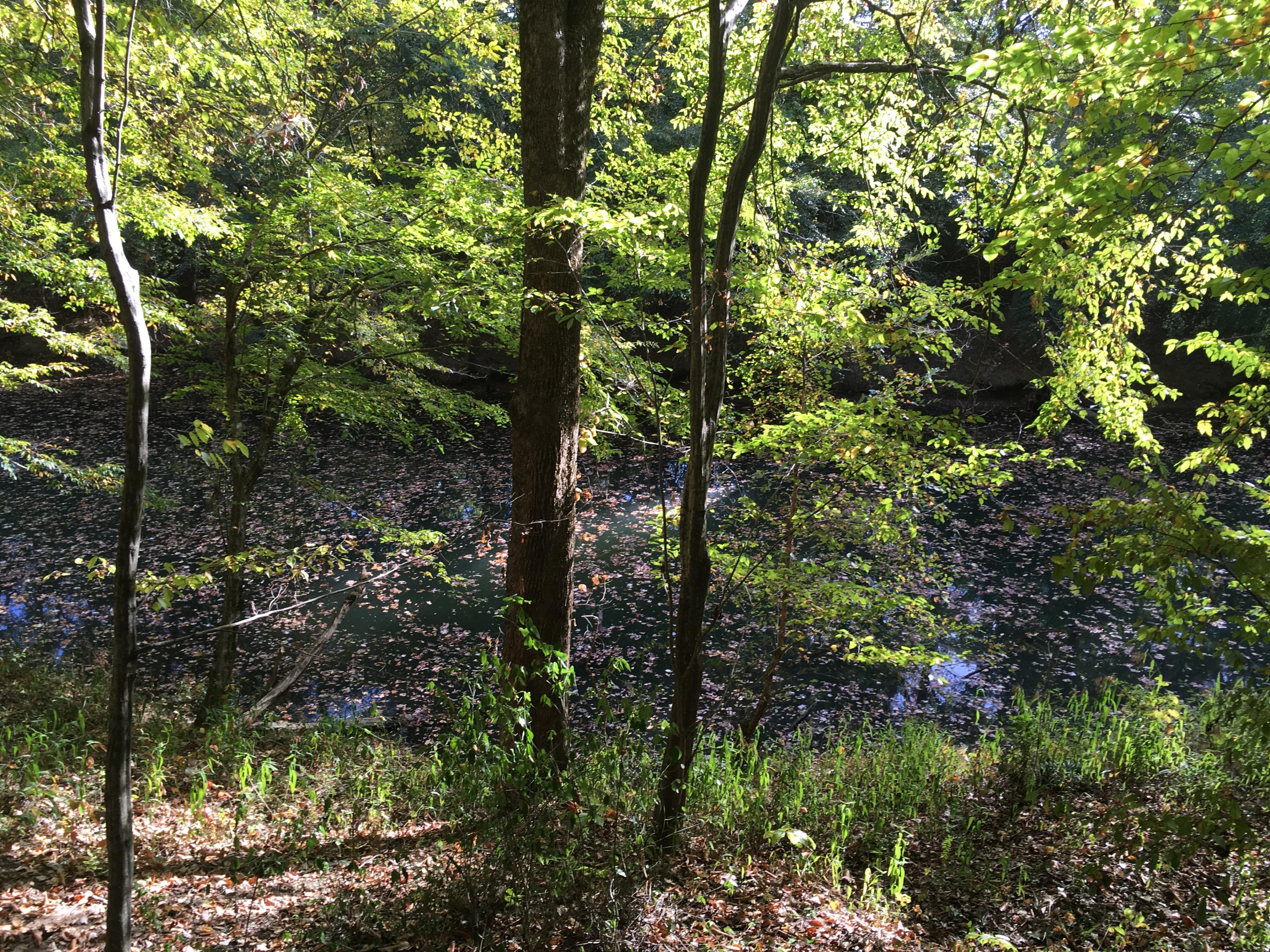 0 Hamill Road, Unit LOT 2 Hixson, TN 37343 - Photo 8 of 13 IMG_6004