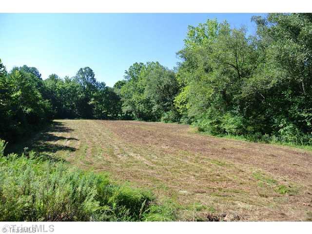 15 Flat Rock Road, Unit 15 Pinnacle, NC 27043 - Photo 1 of 7 Land. LOWER RIGHT FIELD