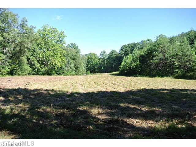 15 Flat Rock Road, Unit 15 Pinnacle, NC 27043 - Photo 2 of 7 Land. CREEK BOARDERS LOWER RIGHT FIELD