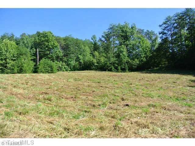 15 Flat Rock Road, Unit 15 Pinnacle, NC 27043 - Photo 4 of 7 Land. SMALLER FILED