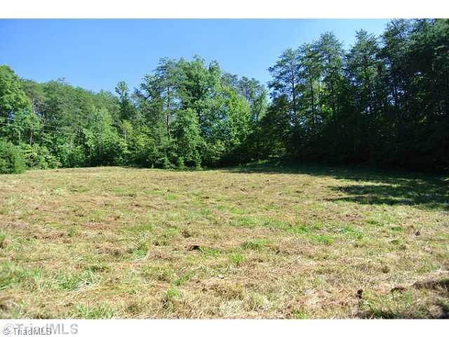 15 Flat Rock Road, Unit 15 Pinnacle, NC 27043 - Photo 5 of 7 Land. SMALLER FIELD
