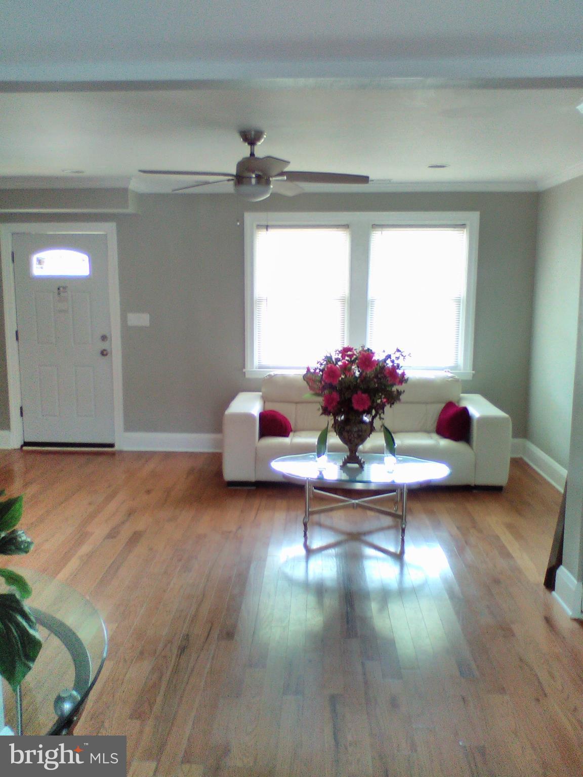 6 South Rosedale Street Baltimore, MD 21229 - Photo 3 of 29 Living Room