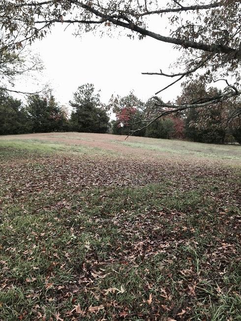 4822 Johnson Road Birchwood, TN 37308 - Photo 13 of 13 view3