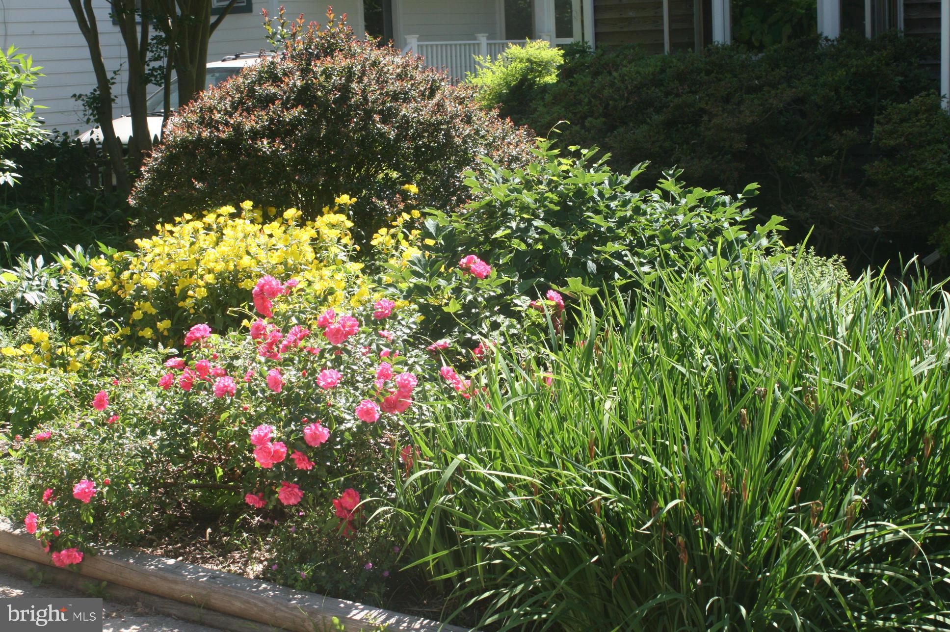 211 West George Mason Road Falls Church, VA 22046 - Photo 28 of 29 Exterior (General)