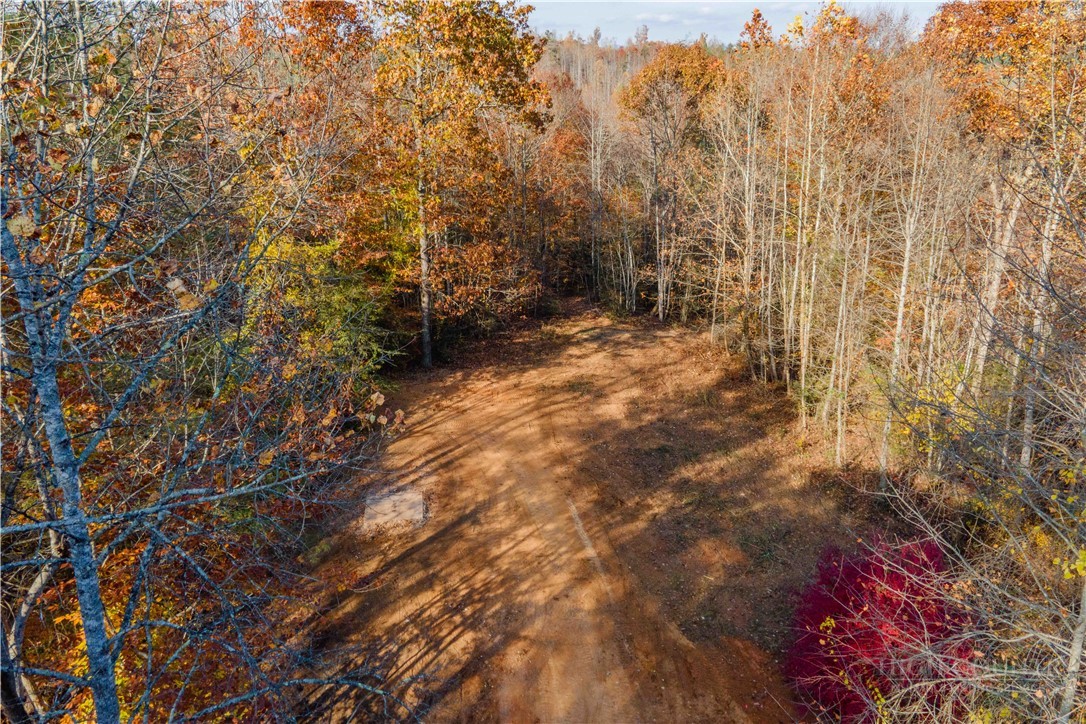 1165 Dehart Community Center Road Hays, NC 28635 - Photo 6 of 11