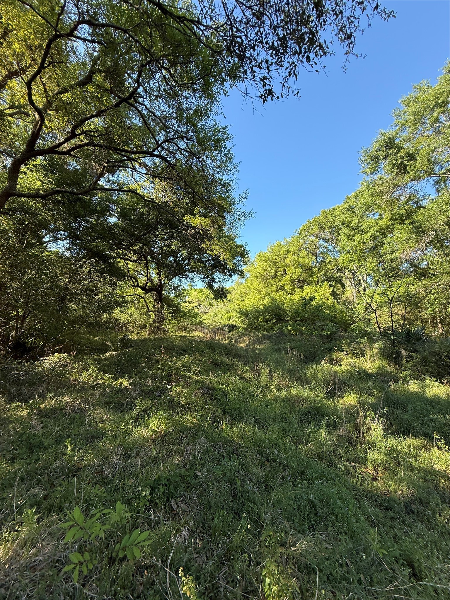 281 Rd Sargent Tx 77414 Road Sargent, TX 77414 - Photo 15 of 23 a view of a field