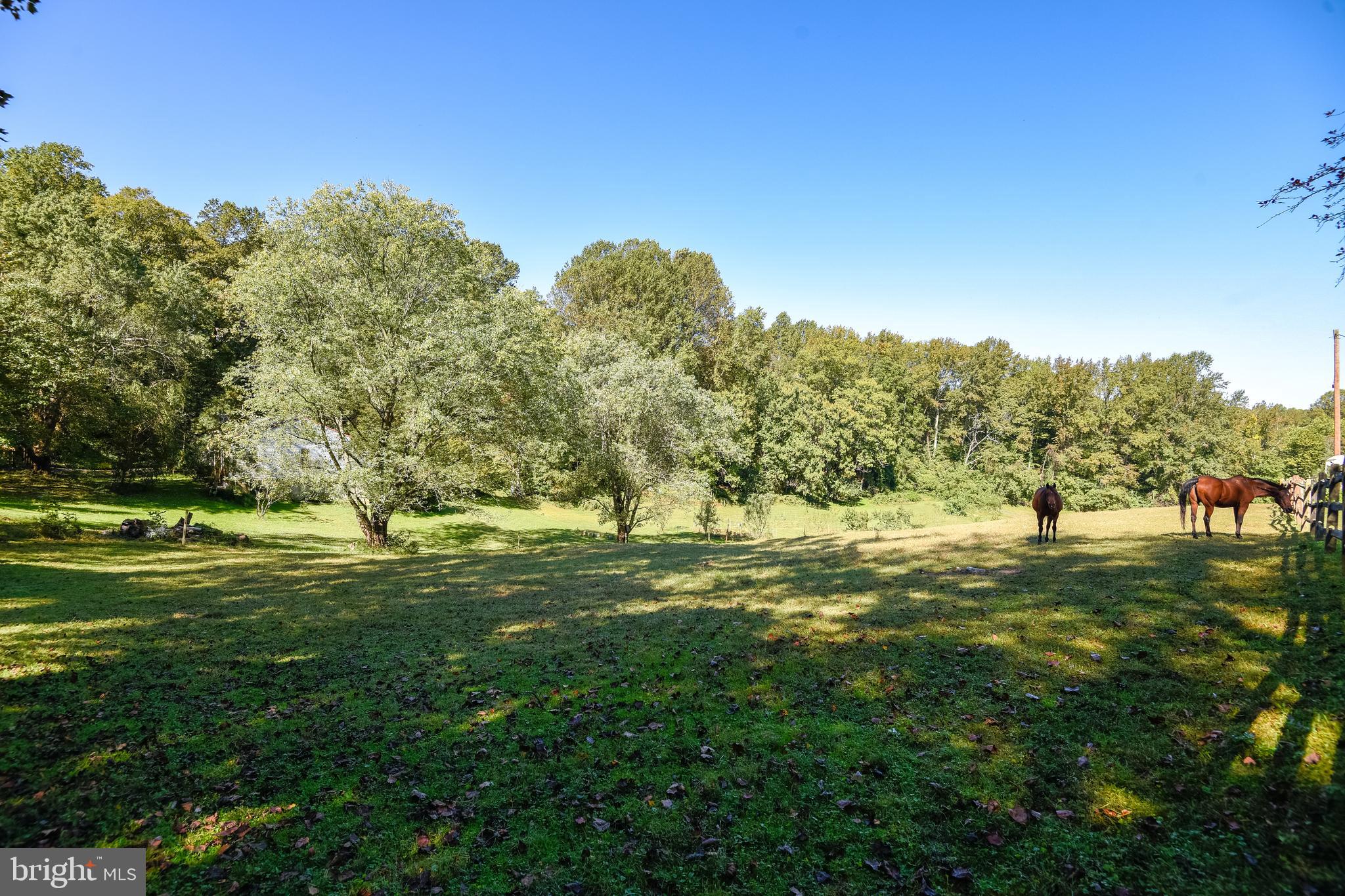 100 Fiddlers Hill Road Edgewater, MD 21037 - Photo 74 of 92 Gallery Image 74