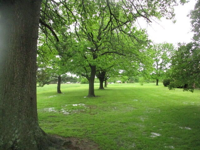 21889 South 520 Road Afton, OK 74331 - Photo 58 of 62 Look at the size of the trees