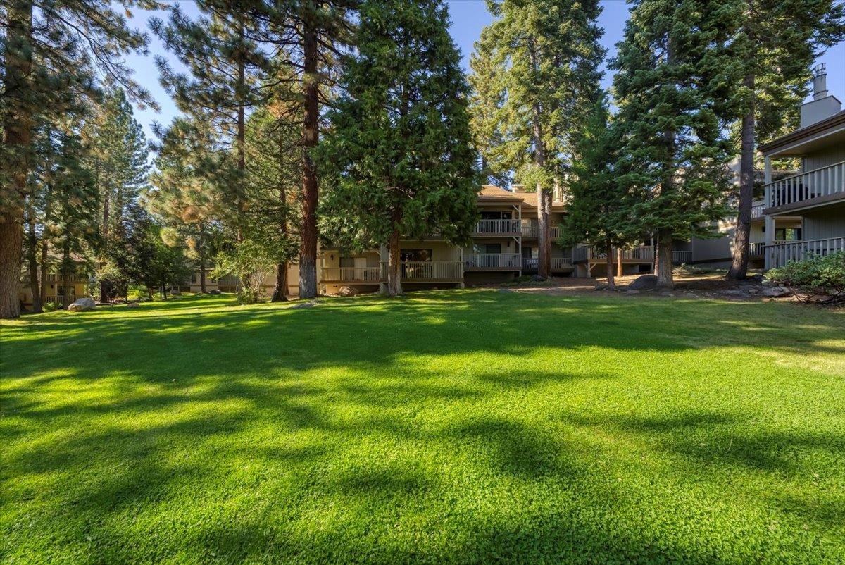 1001 Commonwealth Drive, Unit 49 Kings Beach, CA 96143 - Photo 1 of 25 a garden view with tall trees