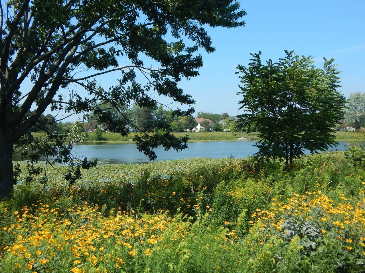 2245 Lakeside Drive Aurora, IL 60504 - Photo 27 of 32 a view of a garden with a lake