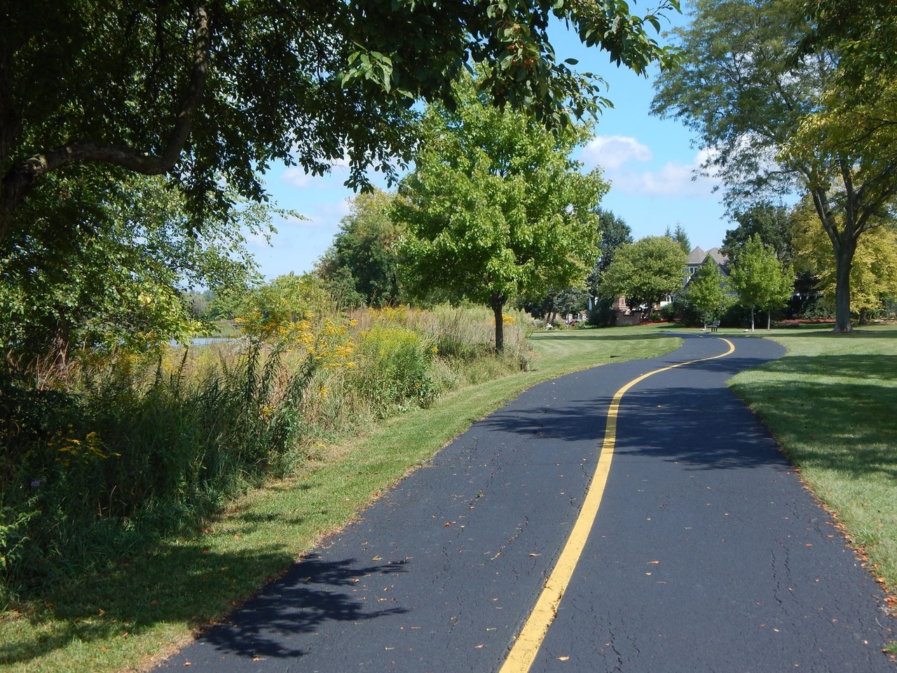 2245 Lakeside Drive Aurora, IL 60504 - Photo 28 of 32 a view of a street with a yard and a large tree