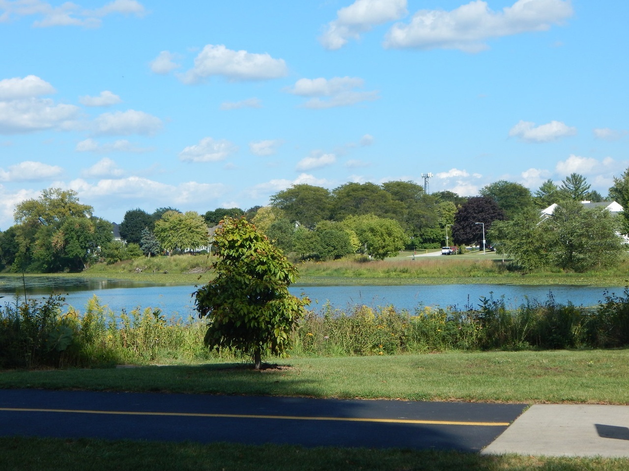 2245 Lakeside Drive Aurora, IL 60504 - Photo 29 of 32 a view of a lake with a yard