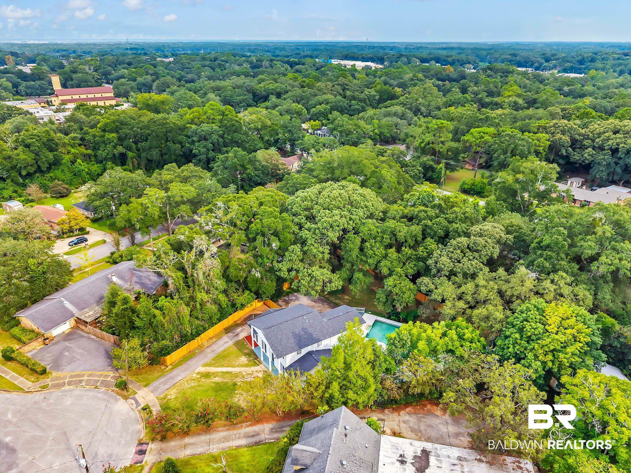4705 Sherry Court Mobile, AL 36693 - Photo 80 of 100 Bird's eye view of a forest