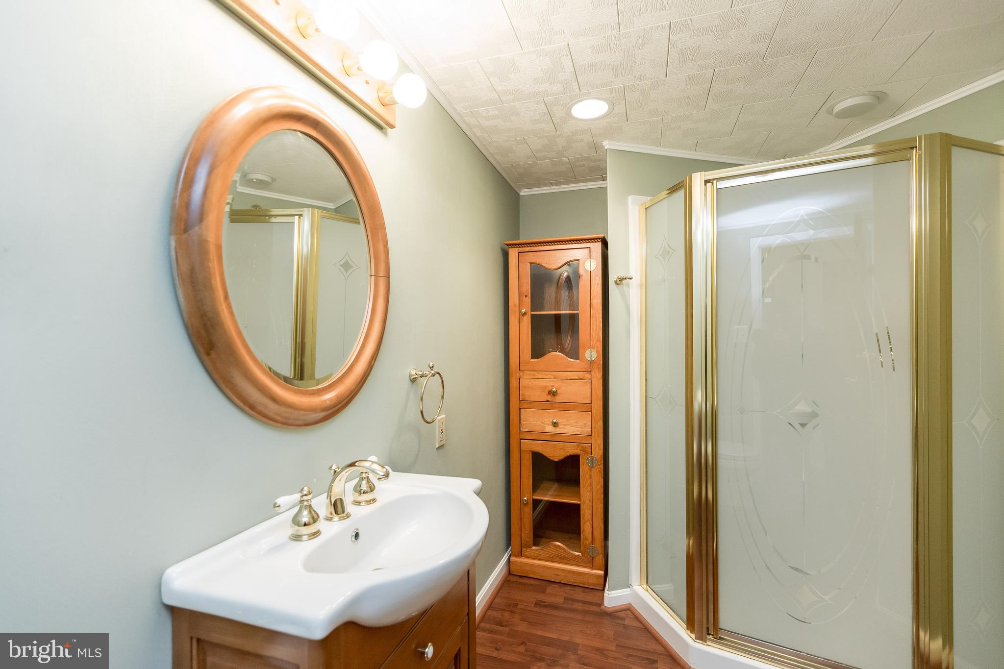 5806 Canvasback Road Burke, VA 22015 - Photo 34 of 43 3rd full bathroom in the lower level