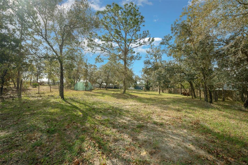 11384 Maripoe Road Weeki Wachee, FL 34614 - Photo 43 of 48 Gallery Image 43
