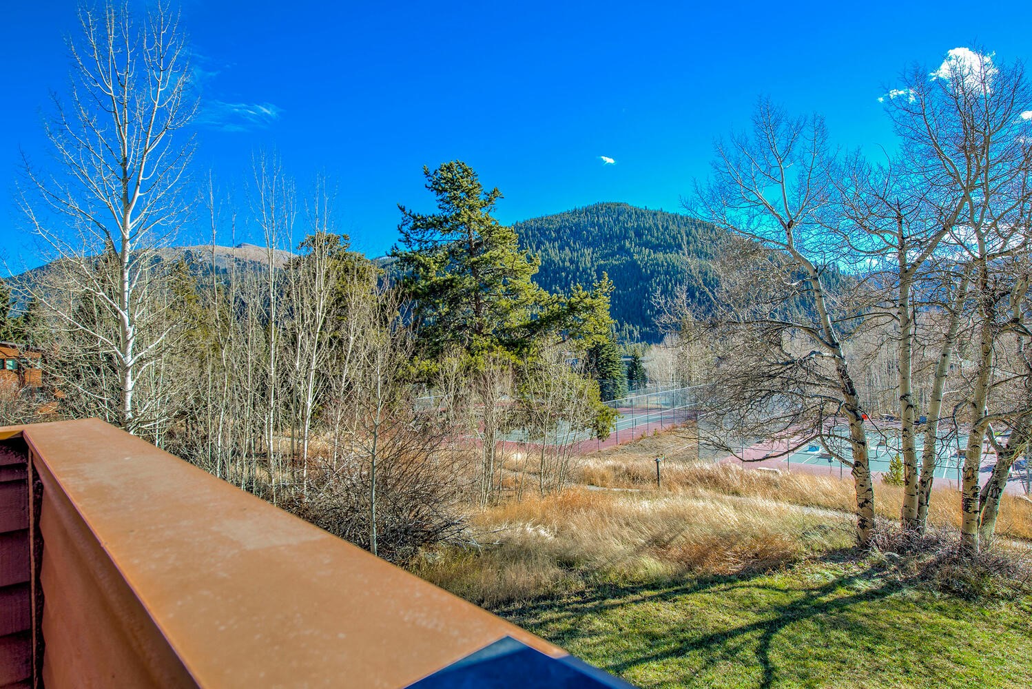 320 Tennis Club Road, Unit 1307 Keystone, CO 80435 - Photo 40 of 47 Gallery Image 40