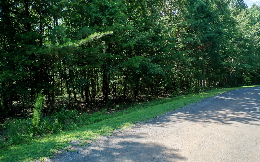 43 Hickory Ridge Drive Ellijay, GA 30536 - Photo 1 of 1 Main View