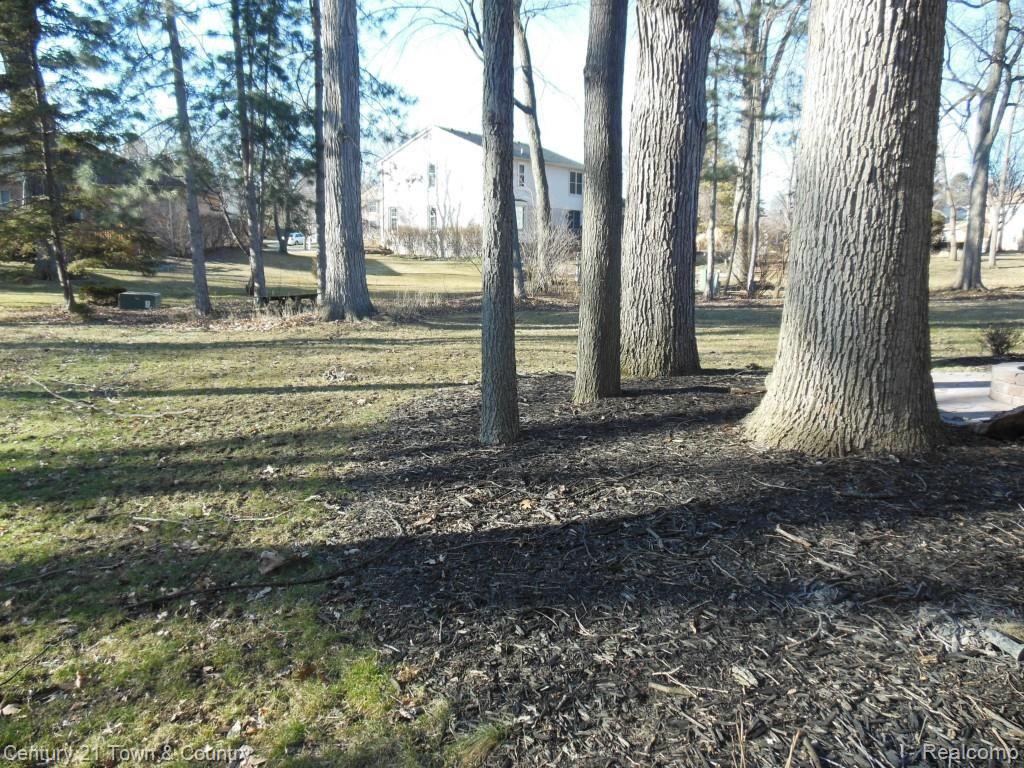 400 Tanglewood Drive Rochester, MI 48309 - Photo 51 of 52 089.jpg