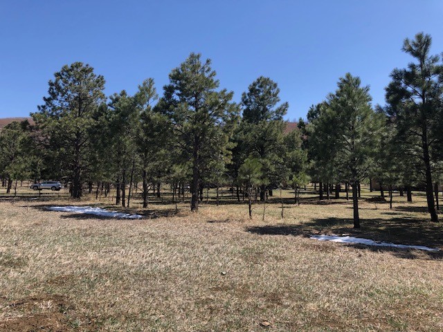 Lot 65 Patron Road Rociada, NM 87742 - Photo 3 of 14