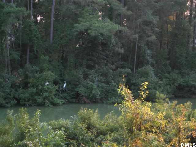 49 Cusabo Road St. Helena Island, SC 29920 - Photo 14 of 17 Additional Photo