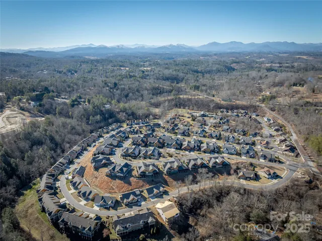 a view of a house with small yard plants and palm tree