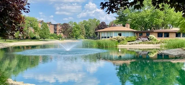 a view of a water pond with green yard