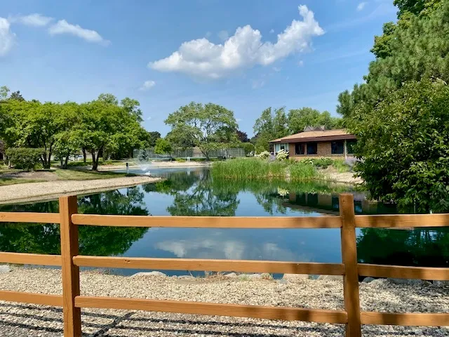 a view of a swimming pool with a patio