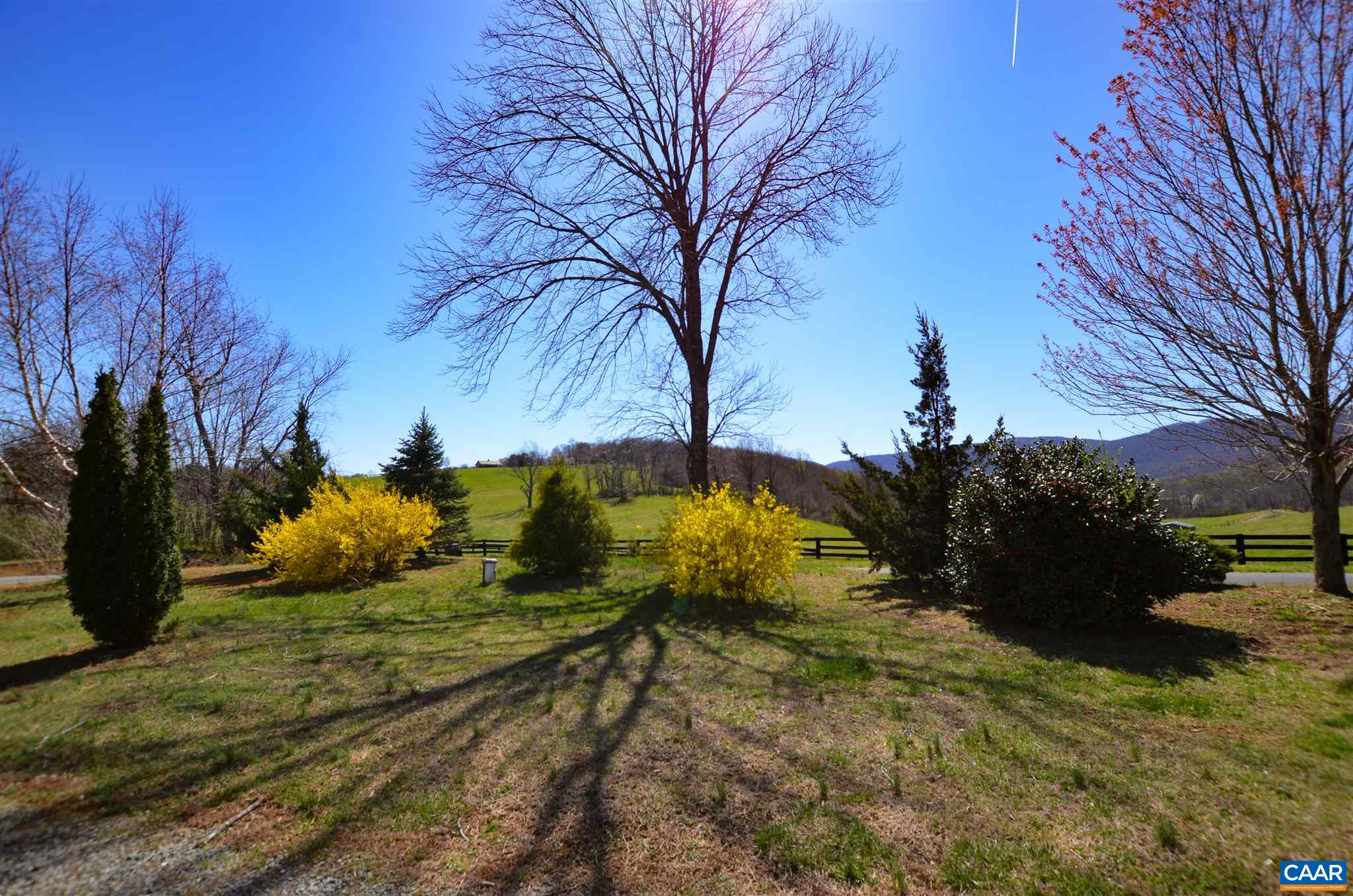 9386 Dick Woods Road Afton, VA 22920 - Photo 5 of 74 Gallery Image 5