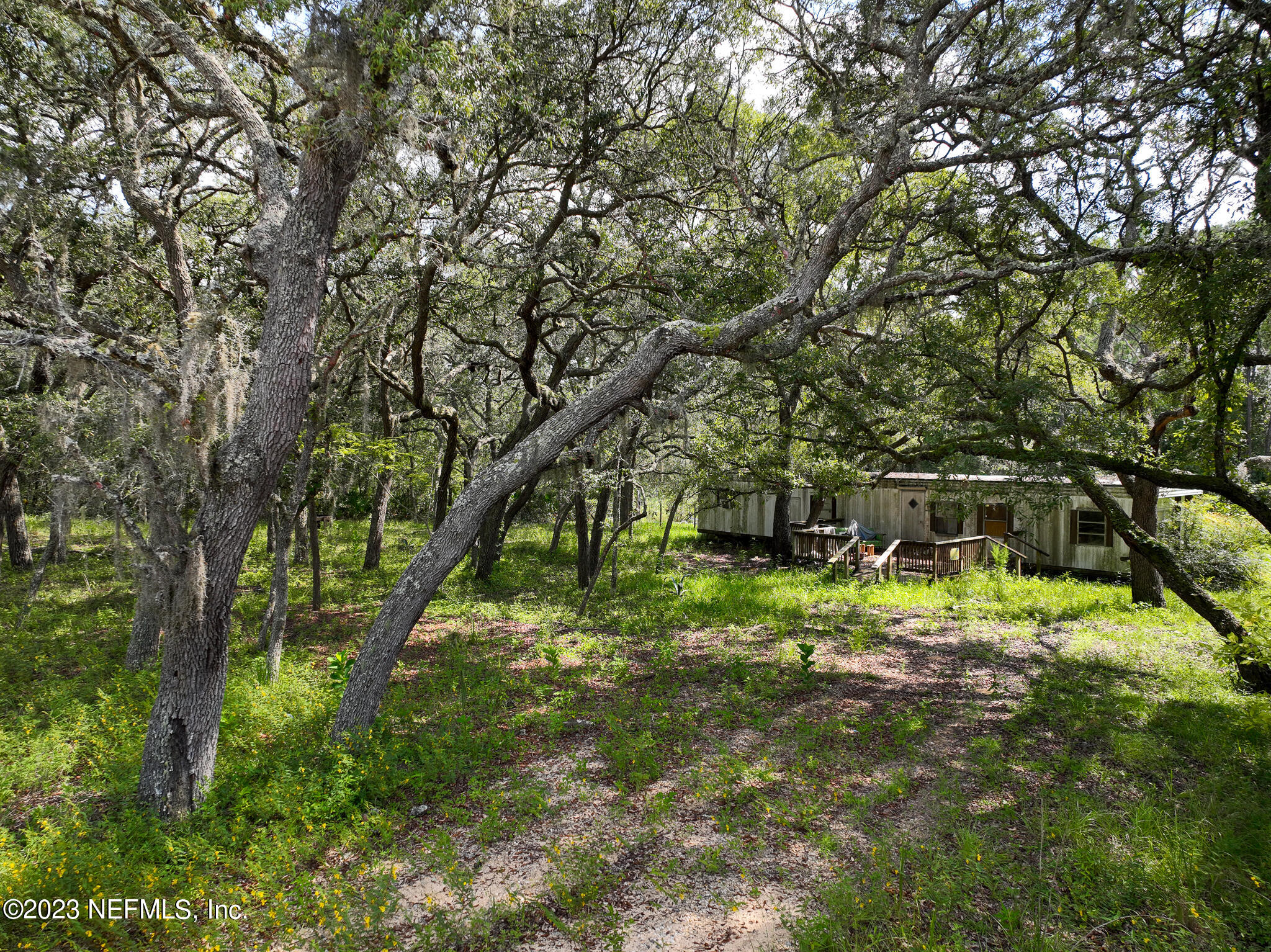a backyard of a house with trees and plants