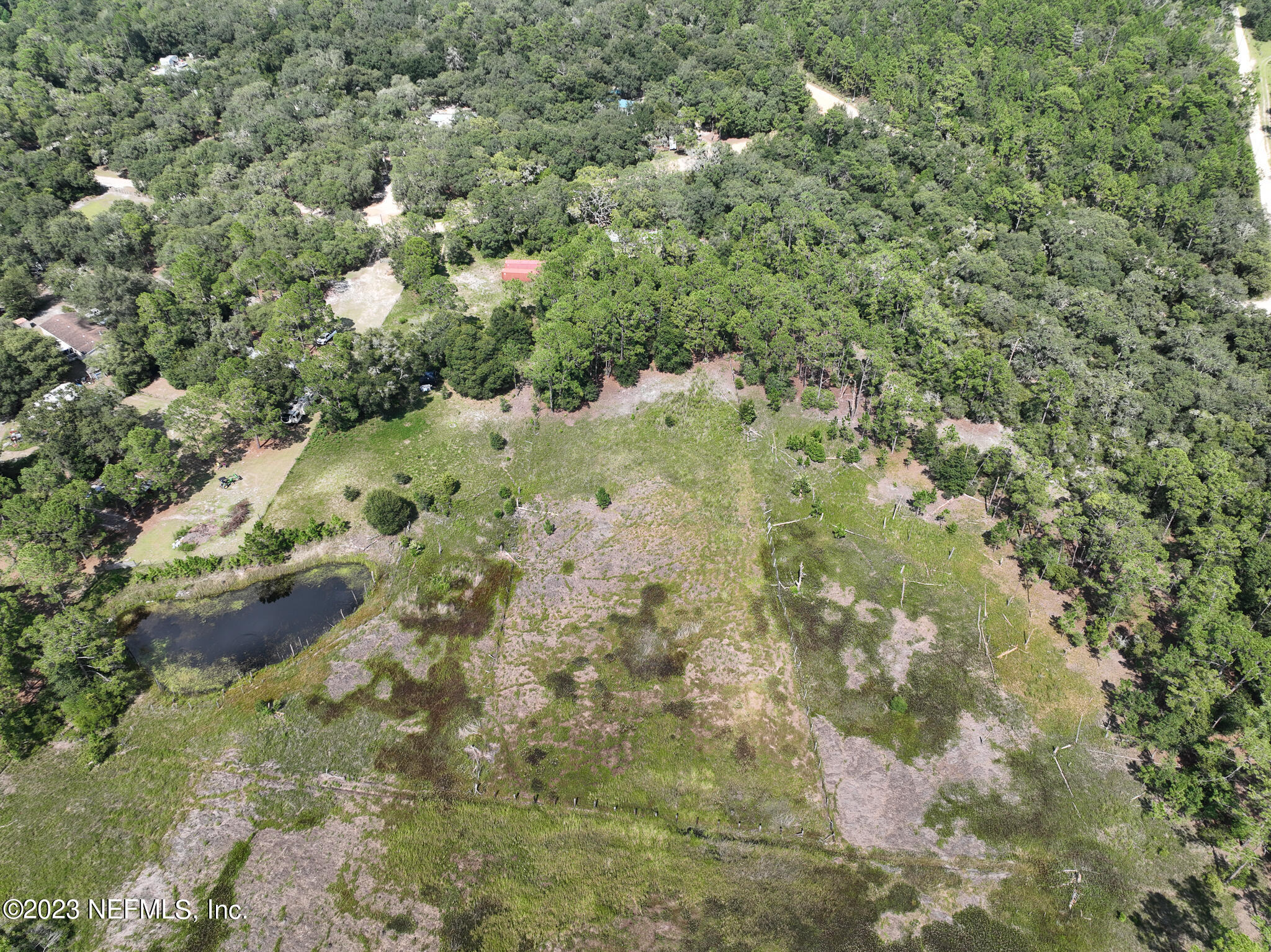 8146 Blazing Star Road Melrose, FL 32666 - Photo 18 of 19 a view of a forest with a house