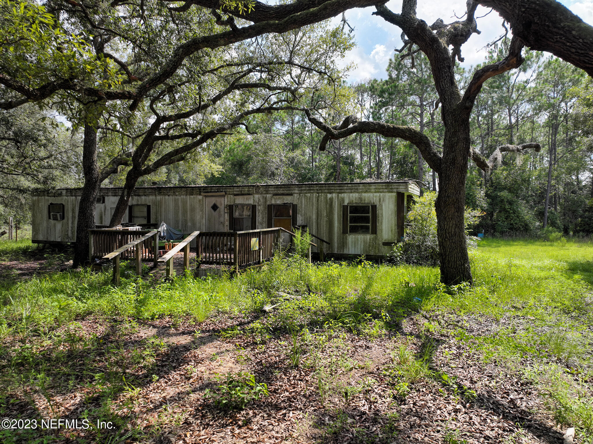 8146 Blazing Star Road Melrose, FL 32666 - Photo 3 of 19 a backyard of a house with lots of green space